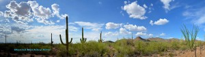 Tucson-Mtn-Pan-071112-04c-crop-sw-dba