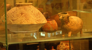 Arizona State Museum collections