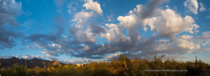 Catalina Mountains