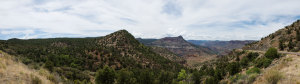 Salt River Canyon, Arizona, July 2014