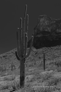 Picacho Peak