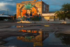 The Agave Goddess mural by Cyfi Rock Martinez, 2016 Tucson Arts Brigade