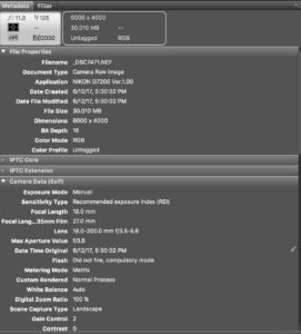 Some of the metadata a camera saves with each shot