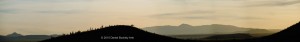 Cactus-Valley-3252-8-sw-dba   